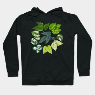 Pothos Leaves Art Hoodie